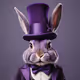 Purple rabbit