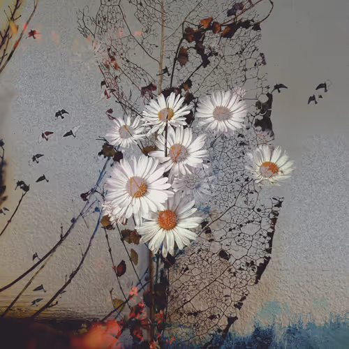 Where Florals Dare