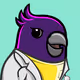 Birb NFT #893 Doctor Yellow Shirt