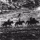 Rodeo posts