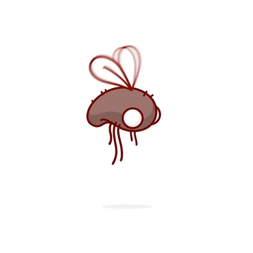 Meta Fly 1