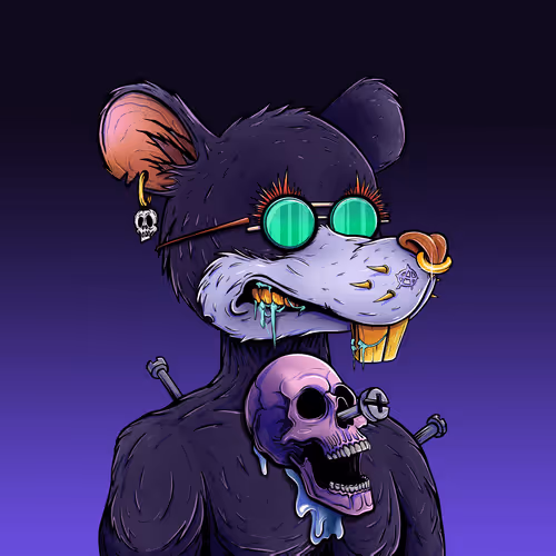 Infected Rats