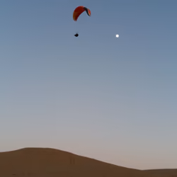 - Last Flight of Light
