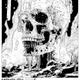 Toxic Skulls