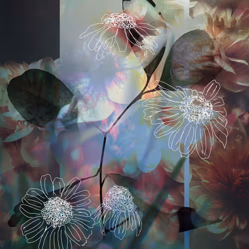 Tracing Petals
