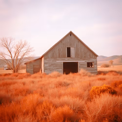 Infrawest Titles 1/1