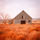 Infrawest Titles 1/1