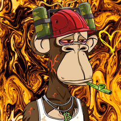 Bored Ape Challenge Club #1146