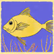 Gold Fish