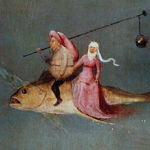 Zorro 43