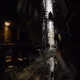 Rodeo posts