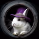 A Degen White Rabbit