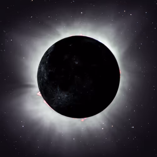 Stardust 15