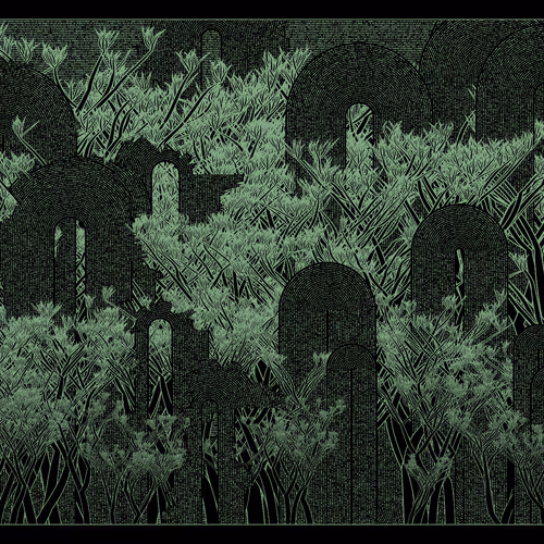 Loop And Nature