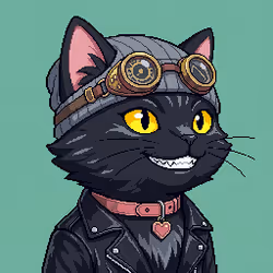 CATSDAQ #502