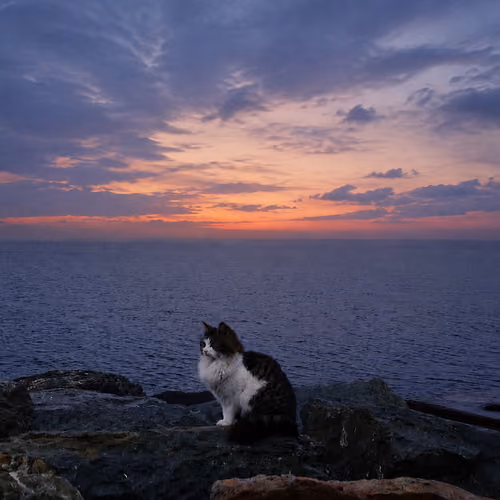 The Tranquility of the Day's End
