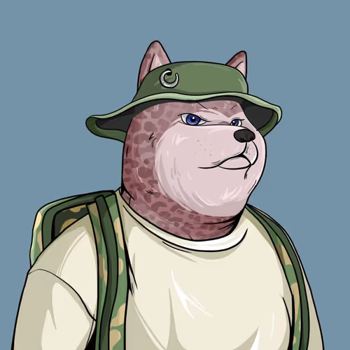 3d Based Shiba