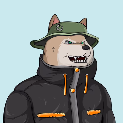 3d Based Shiba