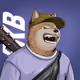 803