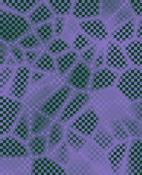 Item #1745907881494 Media