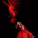 FISH Story