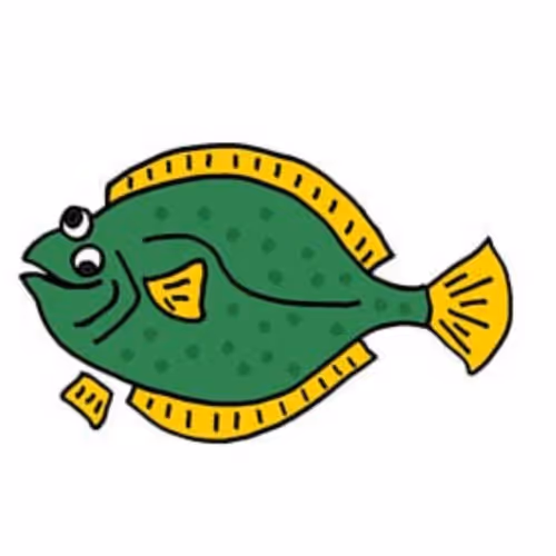 Flounders 8