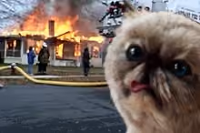 Disaster Miggles #2