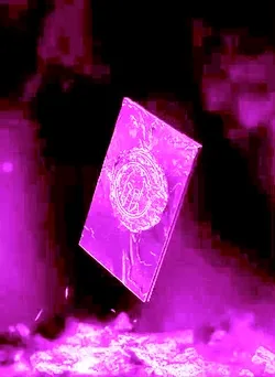 Item Media