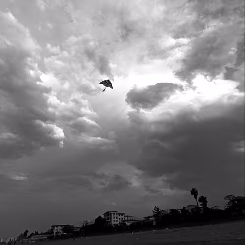 Freedom 489