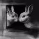 Faces of Duality