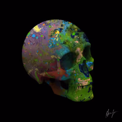 SKULLS BY PIERRE #95