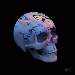 SKULLS BY PIERRE #105