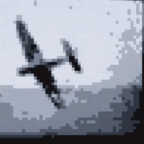 dive