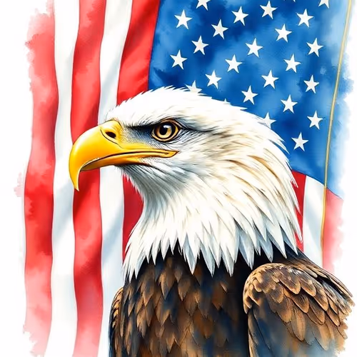 American pride