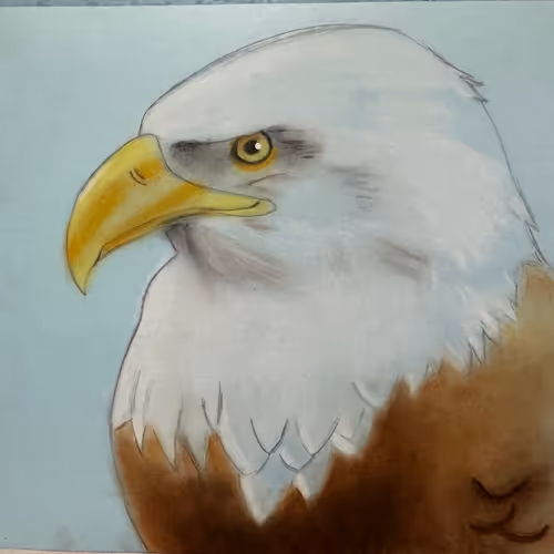 Eagle-Meg