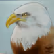 Eagle-Meg