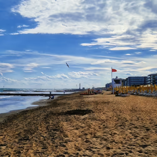The Beach 19
