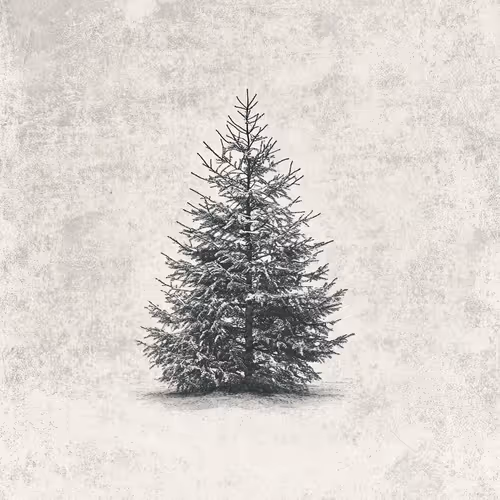 TrippenOverCrypto - Vintage Tidings