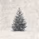 TrippenOverCrypto - Vintage Tidings