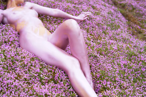 Item #10 Media