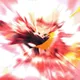 Ninja Nightshade
