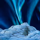 Arizona + Iceland