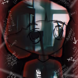 256