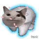 800