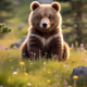 Based Cute Bear