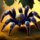 716