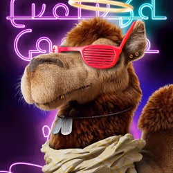 201