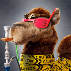 Based Camels#745