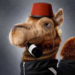 Based Camels#219