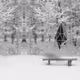 Intelligent